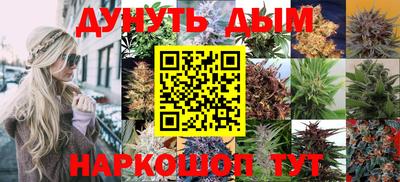 прущая мука Гай